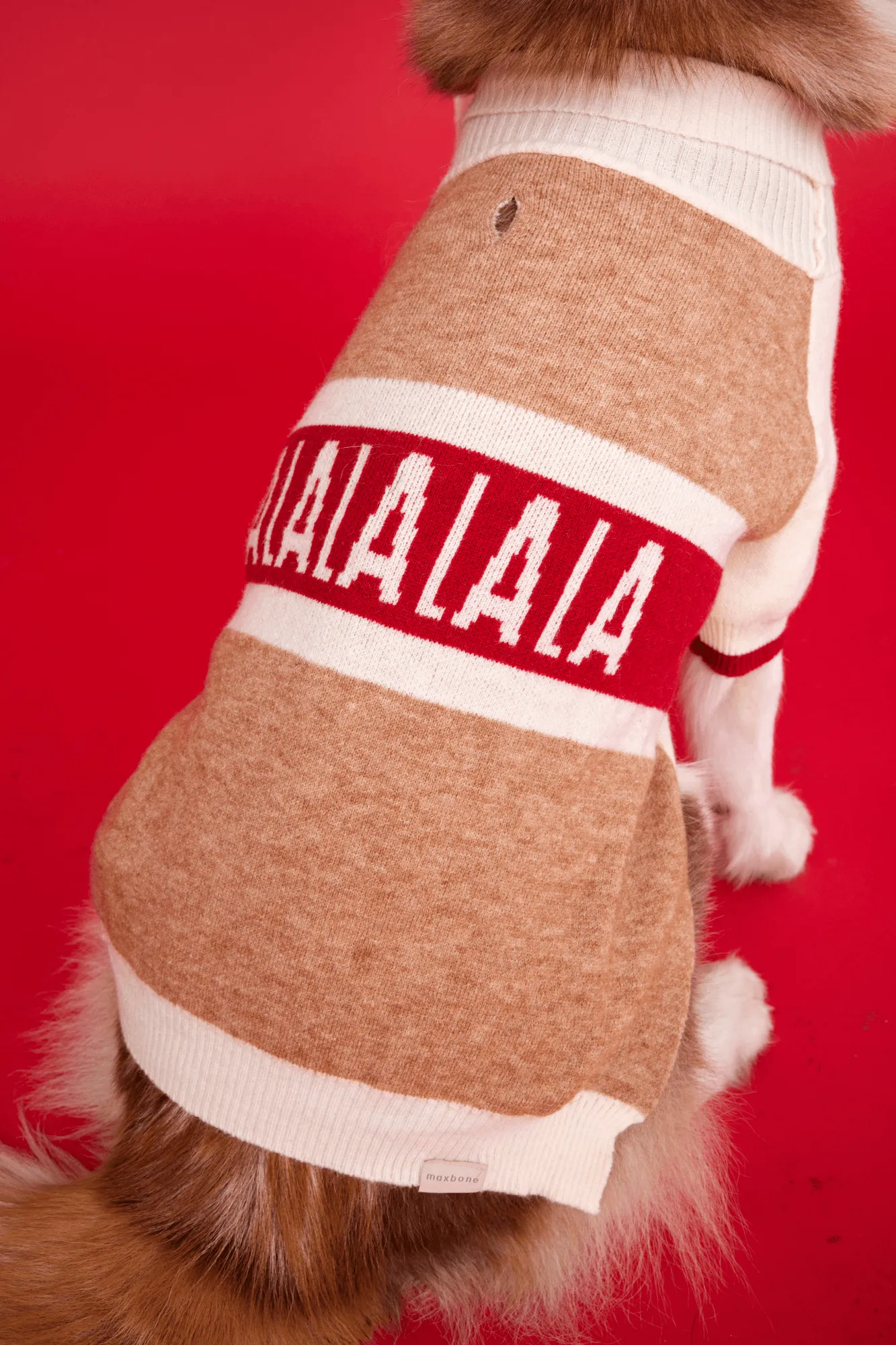 Fa La La La La  Raglan Jumper