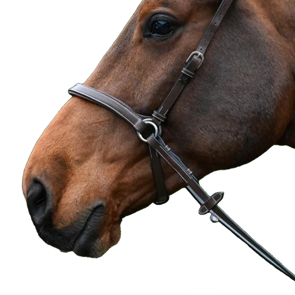 Jump'in Bitless Bridle - One Collection